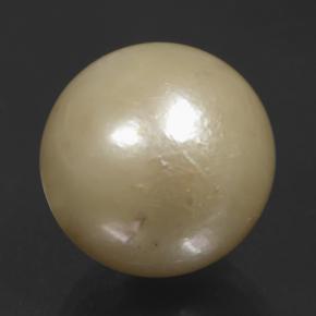 Perla Dorato chiaro naturale da 11.74 ct, Sfera, Opaco