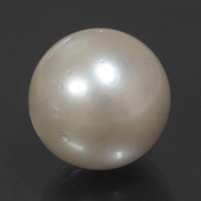 Perla naturale crema da 14,32 ct, sfera / palla, opaco