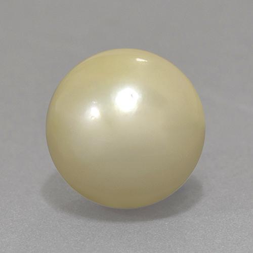 Perla Giallo chiaro naturale da 13.06 ct, Sfera, Opaco