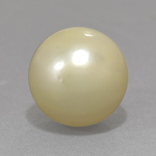 Perla Giallo chiaro naturale da 13.06 ct, Sfera, Opaco