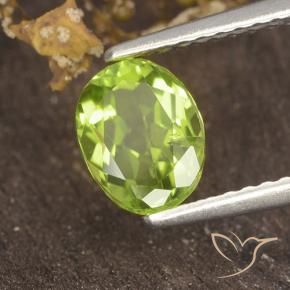 Peridoto Verde giallastro vivace naturale da 1.18 ct, Ovale, VS