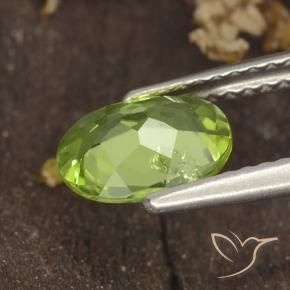 Peridoto Verde medio naturale da 1.16 ct, Ovale, VS