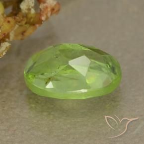 Peridoto Verde giallastro naturale da 1.31 ct, Ovale, VS