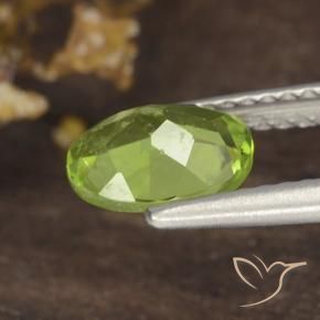 Peridoto Verde medio naturale da 1.19 ct, Ovale, VS