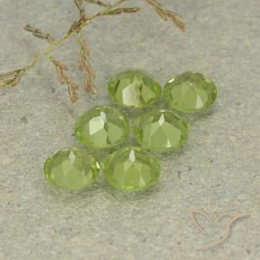 Gemme di Peridoto Verde medio naturale da 2.85 ct, Rotondo, VVS-VS
