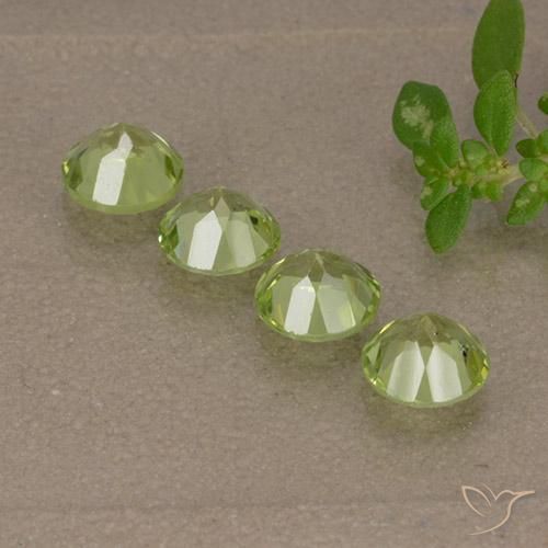 Gemme di Peridoto Verde chiaro e vivace naturale da 1.56 ct, Rotondo, VVS-VS