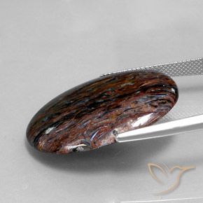 Pietersite Multicolore naturale da 18.72 ct, Ovale, Opaco