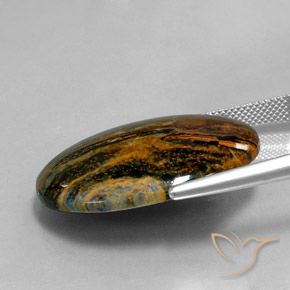 Pietersite Multicolore naturale da 23.92 ct, Ovale, Opaco