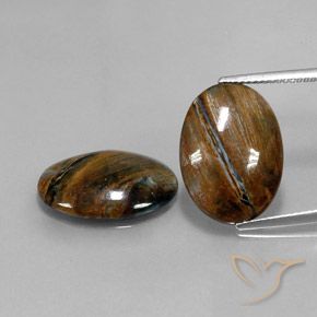 12.69ctw Naturale Multicolore Pietersite, Ovale, Opaco