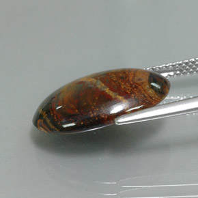 Pietersite Multicolore naturale da 6.54 ct, Taglio ovale, Opaco