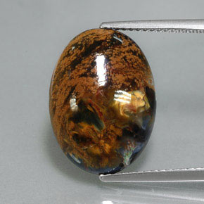 Pietersite Multicolore naturale da 6.78 ct, Taglio ovale, Opaco