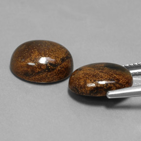 Gemme di Pietersite Multicolore naturale da  ct, Taglio ovale, Opaco