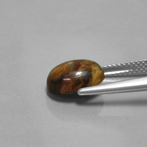 Pietersite Multicolore naturale da 2.99 ct, Taglio ovale, Opaco