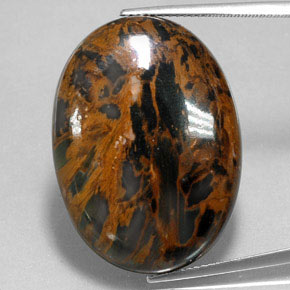 Pietersite Multicolore naturale da 38.54 ct, Taglio ovale, Opaco