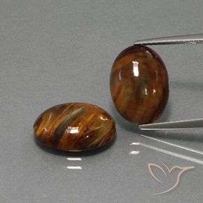 8.66ctw Naturale Multicolore Pietersite, Ovale, Opaco