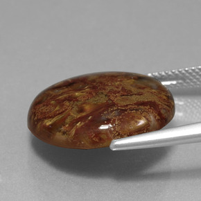 Pietersite naturale multicolore da 11,89 ct, taglio rotondo, opaco
