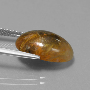 Pietersite Multicolore naturale da 6.69 ct, Taglio ovale, Opaco