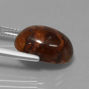 Pietersite Multicolore naturale da 6.18 ct, Taglio ovale, Opaco