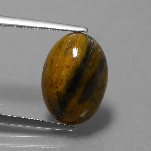 Pietersite Multicolore naturale da 4.63 ct, Taglio ovale, Opaco