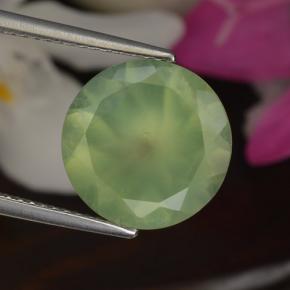 Prehnite naturale verde da 5,50 ct, taglio rotondo, traslucido
