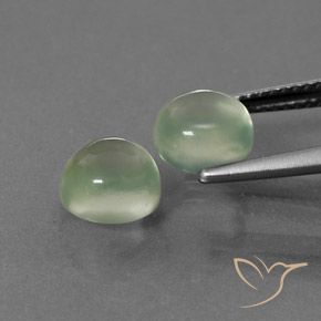 Gemme di Prehnite Giallo verde naturale da 4.34 ct, Rotondo, Trasparente