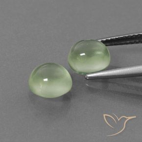 Gemme di Prehnite Giallo verde naturale da 3.67 ct, Rotondo, Trasparente