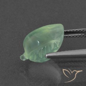 Prehnite Verde Pino Chiaro naturale da 5.57 ct, Taglio a fantasia, Traslucido