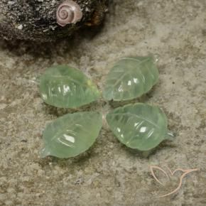Gemme di Prehnite Verde lime chiaro naturale da 17.67 ct, Taglio a fiore, Trasparente