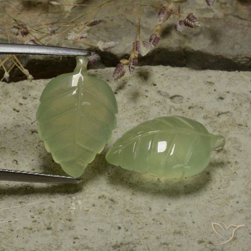 Gemme di Prehnite Verde Pera Pallido naturale da 14.13 ct, Taglio a fiore, Traslucido