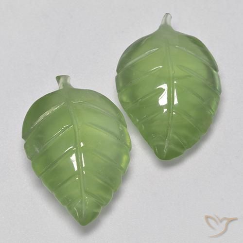 Gemme di Prehnite Verde caldo naturale da 15.75 ct, Taglio a fantasia, Trasparente