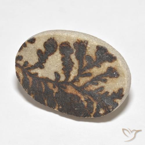 Psilomelano Dendrite Multicolore naturale da 26.52 ct, Ovale, Opaco
