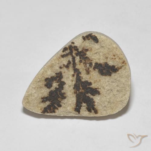 11.56ct Naturale Multicolore Psilomelano Dendrite, Forma a pera, Opaco