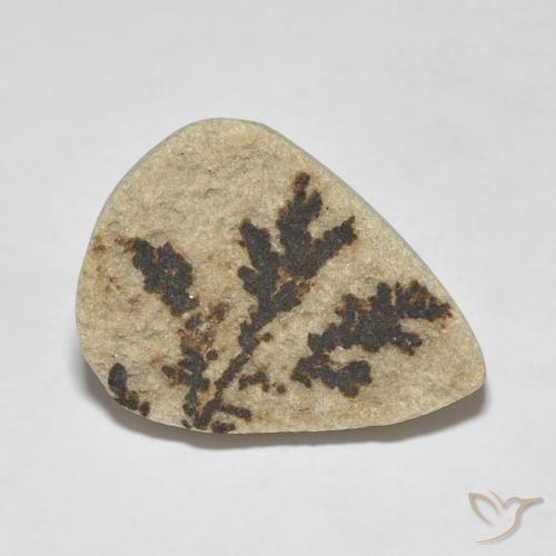 Psilomelano Dendrite Multicolore naturale da 11.56 ct, Forma a pera, Opaco