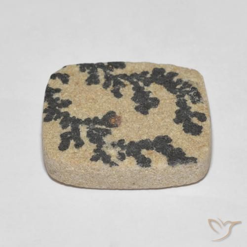 Psilomelano Dendrite Multicolore naturale da 25.75 ct, Cuscino, Opaco