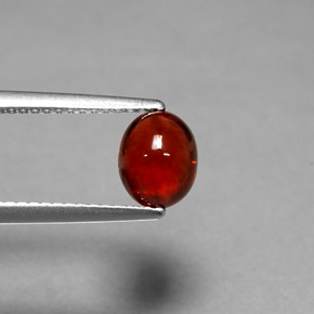 Granato Piropo Rosso naturale da 1.70 ct, Taglio ovale, Traslucido