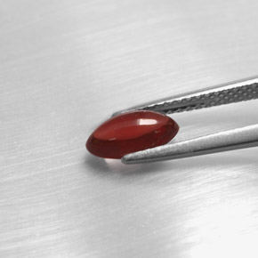 Granato piropo naturale rosso da 1,20 ct, trasparente, trasparente/traslucido
