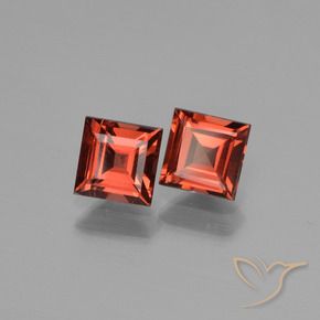 Gemme di Granato Piropo Rosso scarlatto naturale da 1.59 ct, Quadrato, VS