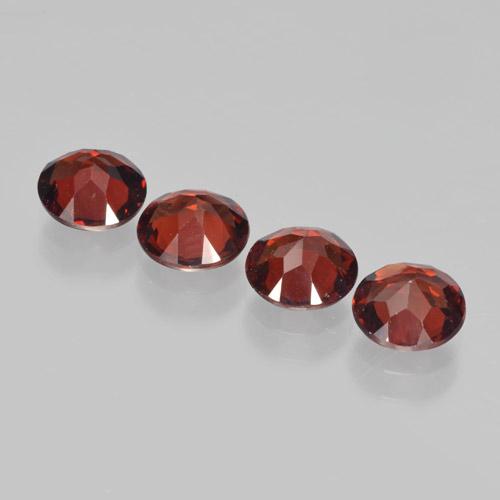 Gemme di Granato Piropo Sangue rosso naturale da 3.61 ct, Taglio rotondo, VVS-VS
