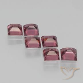 Gemme di Granato Piropo Rosso scuro naturale da 2.78 ct, Quadrato, VS