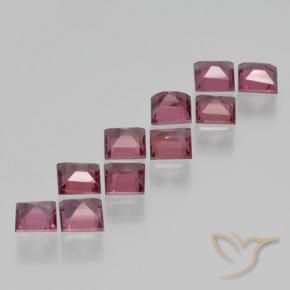 Gemme di Granato Piropo Rosso medio-scuro naturale da 3.63 ct, Quadrato, VS