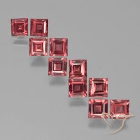 Gemme di Granato Piropo Rosso scarlatto naturale da 4.03 ct, Quadrato, VS