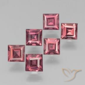 Gemme di Granato Piropo Rosso scuro naturale da 2.69 ct, Quadrato, VS