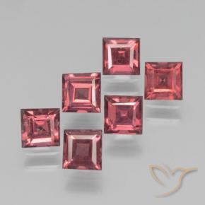 Gemme di Granato Piropo Rosso scarlatto naturale da 2.65 ct, Quadrato, VS