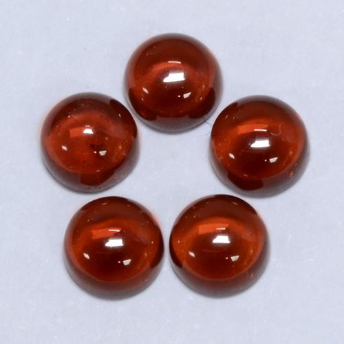 Gemme di Granato Piropo Rosso medio naturale da 2.35 ct, Taglio rotondo, Trasparente