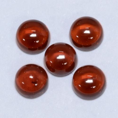 Gemme di Granato Piropo Rosso medio naturale da 2.35 ct, Taglio rotondo, Trasparente