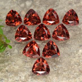 Gemme di Granato Piropo Rosso brillante naturale da 3.00 ct, Taglio trillion, VS