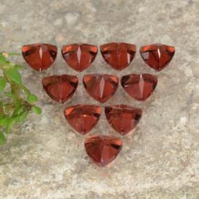 Gemme di Granato Piropo Rosso brillante naturale da 3.00 ct, Taglio trillion, VS