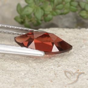 Granato Piropo Rosso Scuro Medio naturale da 1.25 ct, Taglio marquise, VVS-VS