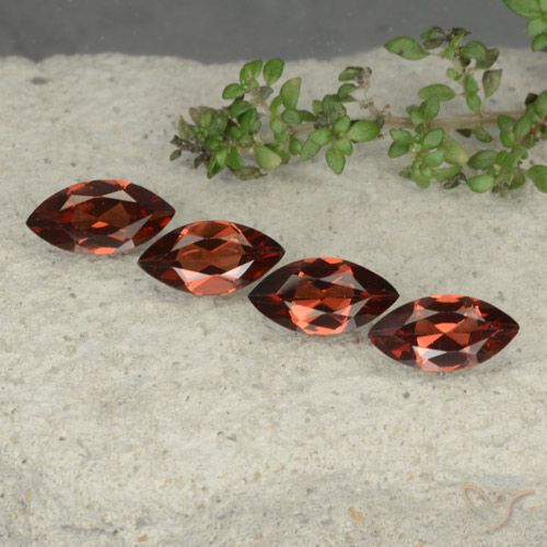 4.79ctw Naturale Rosso scuro Granato Piropo, Taglio marquise, VS