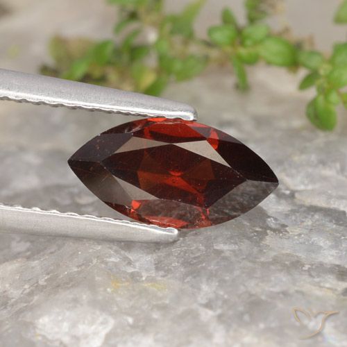 1.31ct Naturale Rosso scuro Granato Piropo, Taglio marquise, VVS-VS